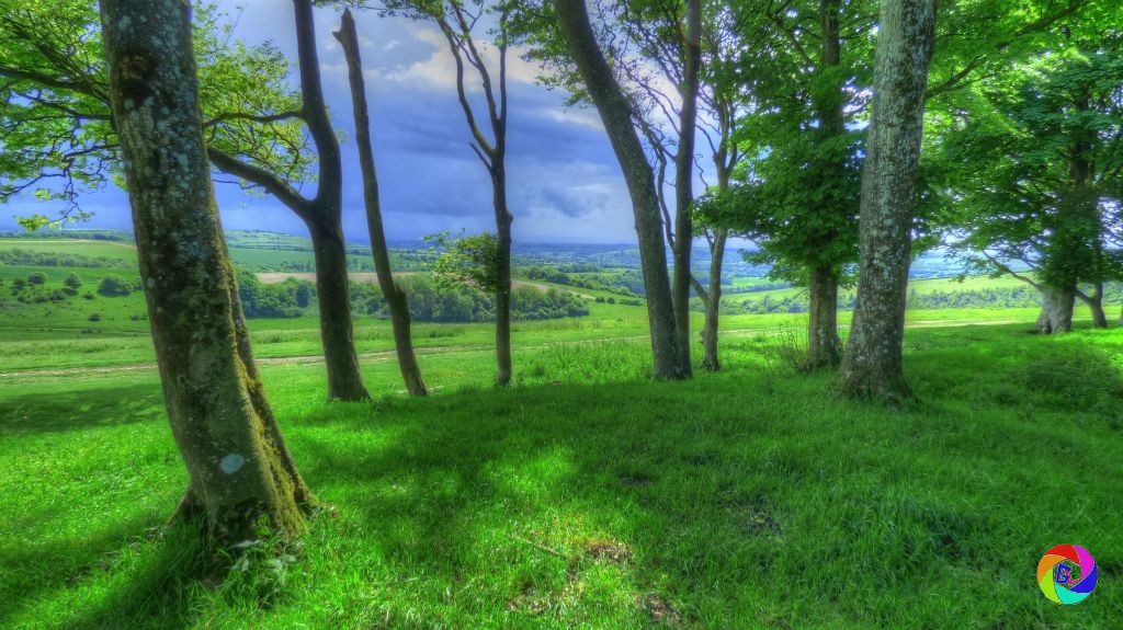 Chanctonbury Ring